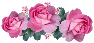 flowers-5672692_1280 (314x146, 94Kb)