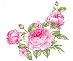 розы розовые (18) (234x195, 53Kb)