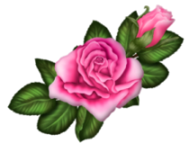 22 (1) (210x159, 52Kb)